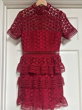 Self-Portrait Red Star lace Zip-Back Dress